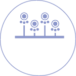 ガーデニング・植栽