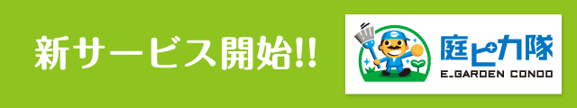 新サービス開始！庭ピカ隊