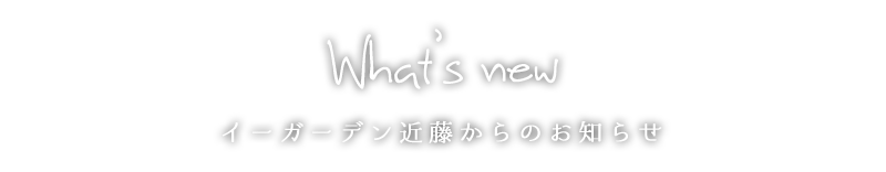お知らせ