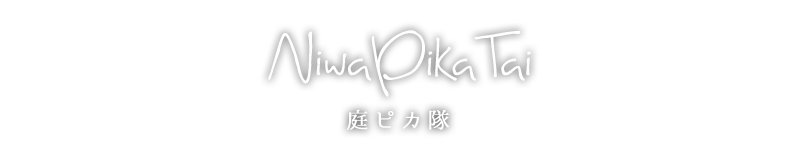 庭ピカ隊