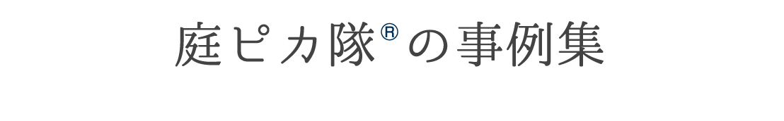庭ピカ隊の事例集